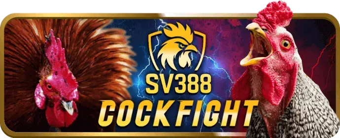 Dịch vụ khách hàng ưu tiên 12net VIP