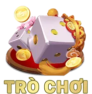 Biểu tượng giới hạn mục đích và giảm thiểu dữ liệu của 12net